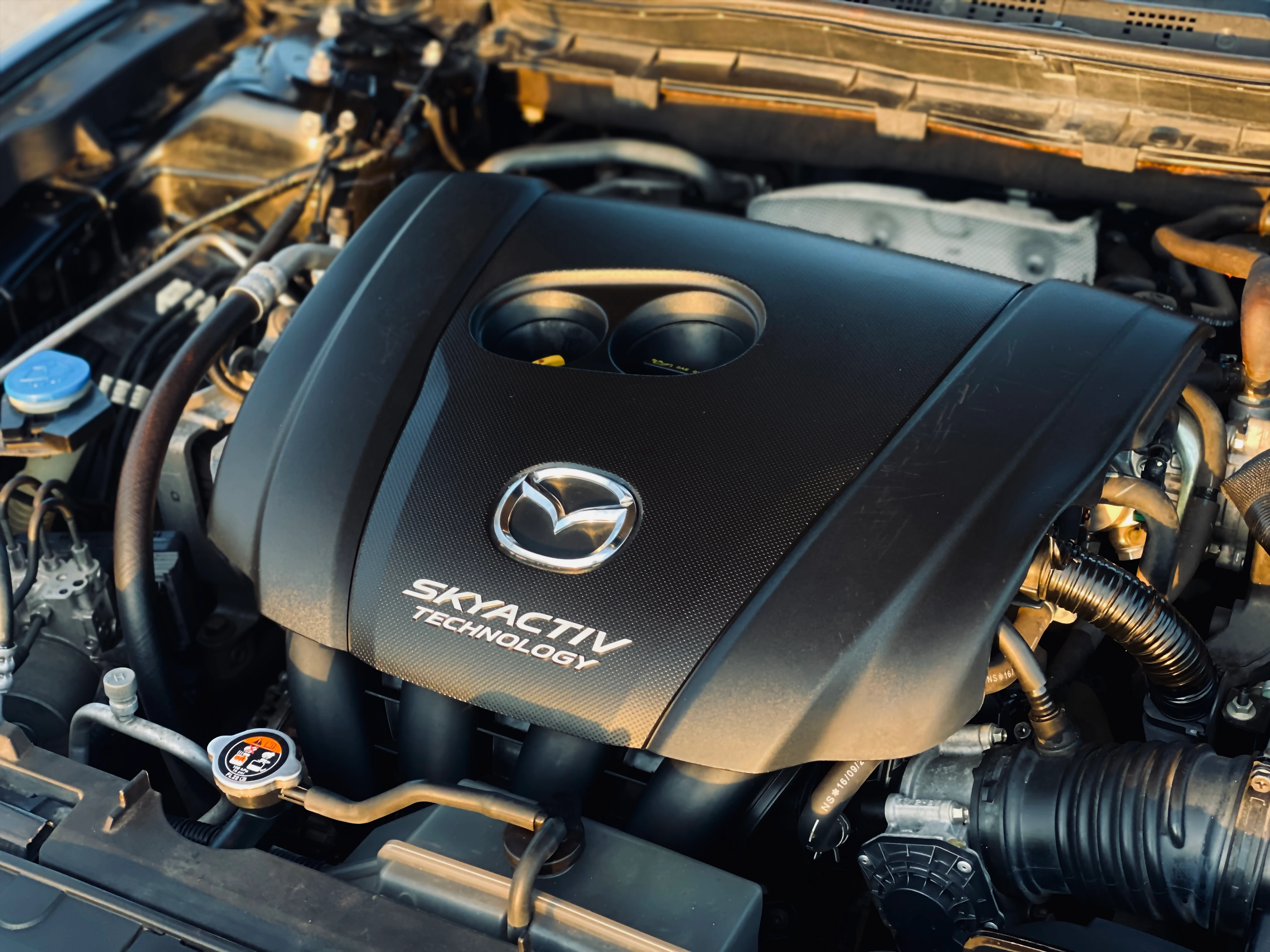 Engine bay cleaning for mobile auto detailing