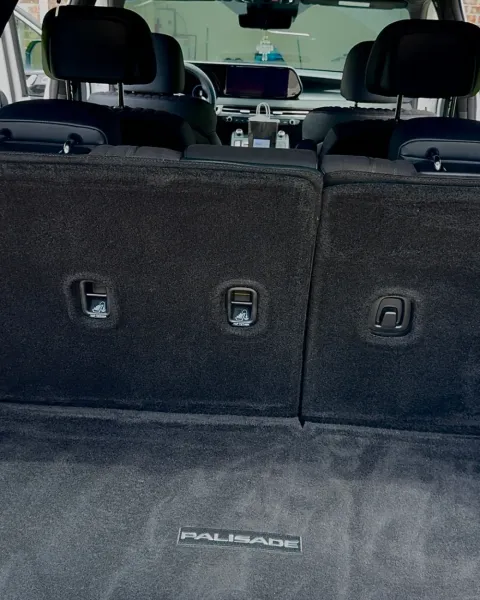 The same cargo carpet after pet hair removal