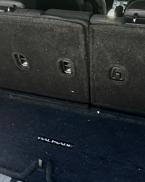 Cargo carpet covered with pet hair before cleaning